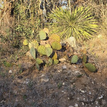 Bamberger Nature Park - Parks Near Me - San Antonio, Texas