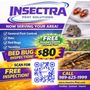 Photo of Insectra Pest Solutions