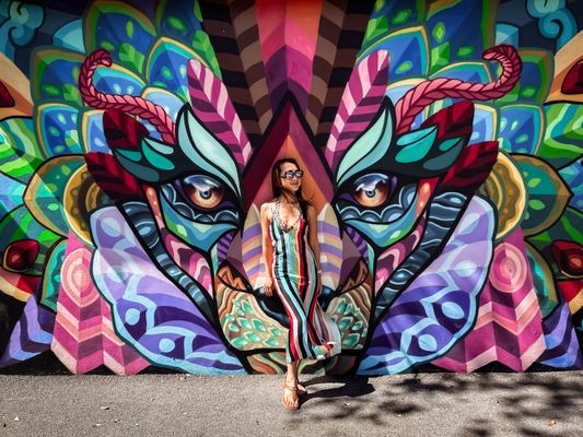 Wynwood Walls by null