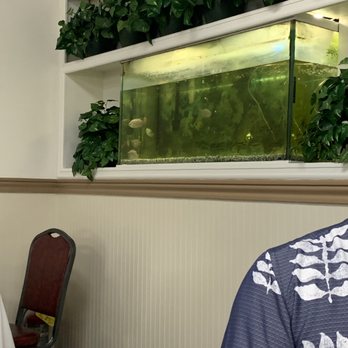 Jade Garden Restaurant - Fish tank needs cleaning - Chinese Near Me - Waipahu, Hawaii