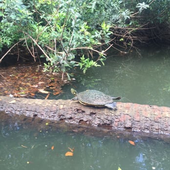 Koreshan State Park - Parks Near Me - Estero, Florida