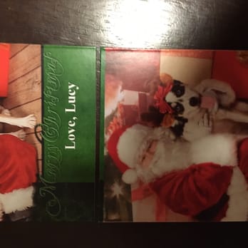 Portraits by Martha - Poorly cut magnets. - Pet Photography Near Me Portraits by Martha - Poorly cut magnets. - Pet Photography Near Me