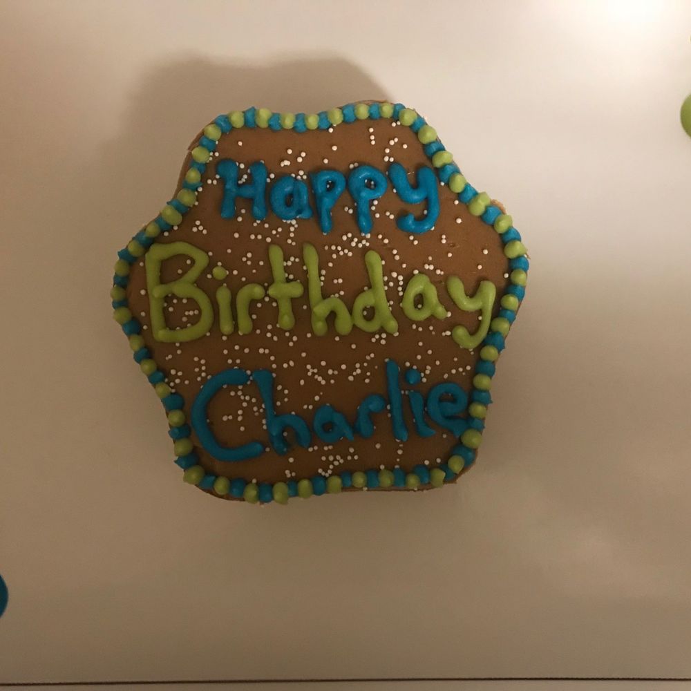 Treats Unleashed - Small Dog Cake - Pet Stores Near Me - Richmond Heights, Missouri Treats Unleashed - Small Dog Cake - Pet Stores Near Me - Richmond Heights, Missouri
