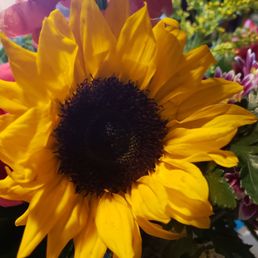 Bright and cheery flowers from Fabbrini's.