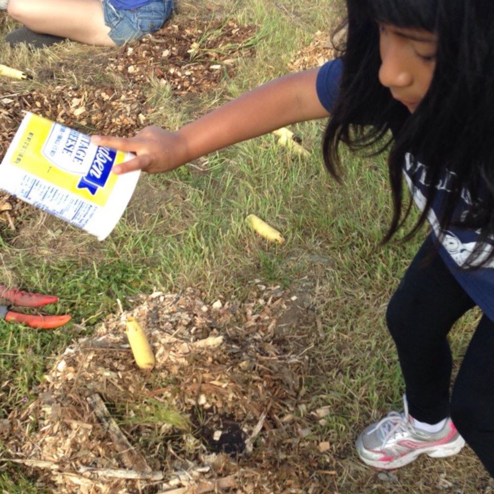 Save The Bay - Watering one of our grasses we planted - Community Service/Non-Profit Near Me - Oakland, California