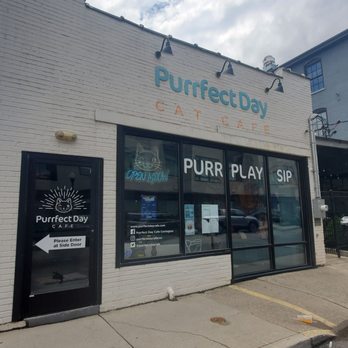 Purrfect Day Cat Cafe - Front - you can see the cats when passing by. - Pet Adoption Near Me - Covington, Kentucky Purrfect Day Cat Cafe - Front - you can see the cats when passing by. - Pet Adoption Near Me - Covington, Kentucky