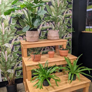 The Greenery - Nurseries & Gardening Near Me - Minneapolis, Minnesota