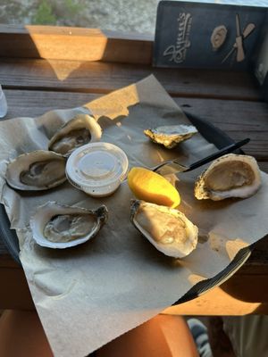 Lynn's Quality Oysters near St. George Island in St. George Island, FL