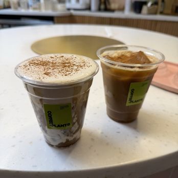 Coffee and Plants - Pumpkin Cloud Latte and Superglow Latte - Coffee & Tea Near Me - Studio City, California