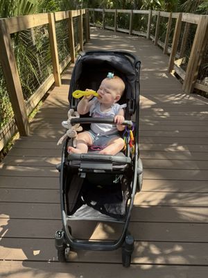 Central Florida Zoo & Botanical Gardens by null