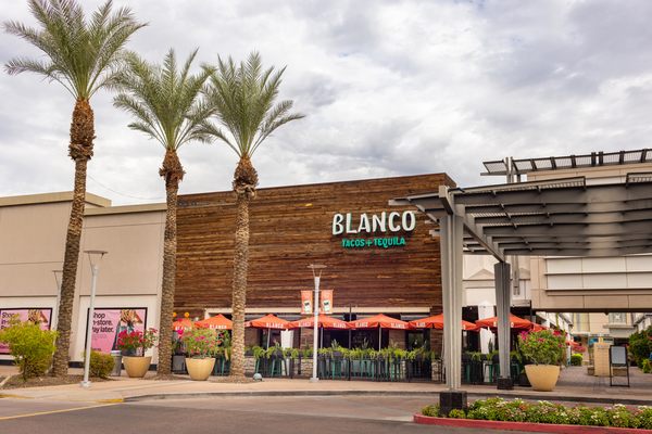 Blanco Cocina + Cantina by null