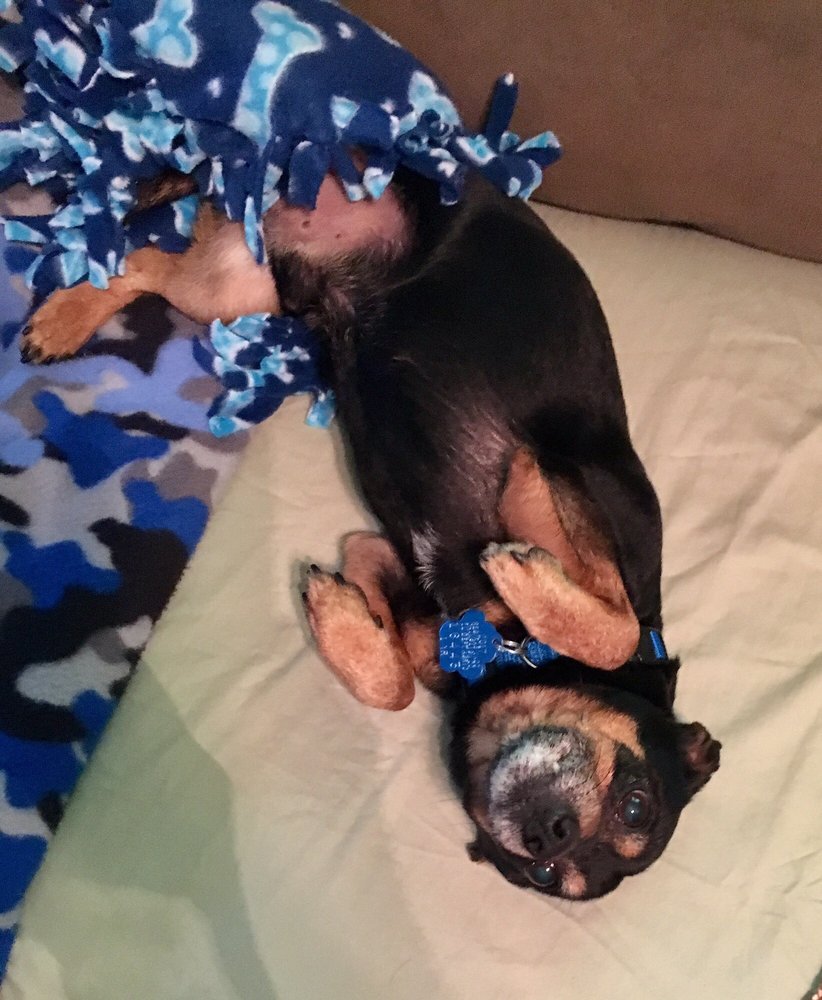 RED BARN VETERINARY SERVICE Updated October 2024 854 Cr 2100 E