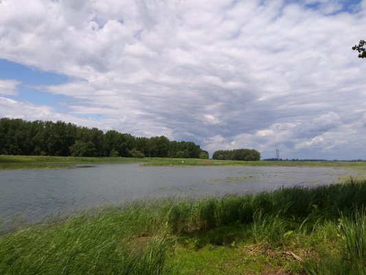 Boucherville Islands National Park by null