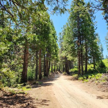 Jackson Road Trail - Jackson Road/Tenaya Loop Trail, Madera County: 2026 June 17 - Hiking Near Me - Fish Camp, California Jackson Road Trail - Jackson Road/Tenaya Loop Trail, Madera County: 2026 June 17 - Hiking Near Me - Fish Camp, California