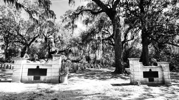 Bonaventure Cemetery by null