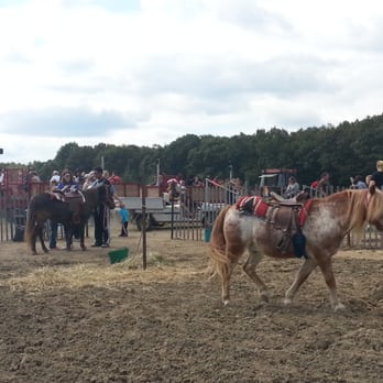 Giamarese Farm - $5 pony rides - Farmers Market Near Me - East Brunswick, New Jersey Giamarese Farm - $5 pony rides - Farmers Market Near Me - East Brunswick, New Jersey