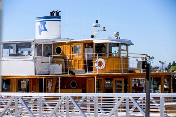 City Cruises by null