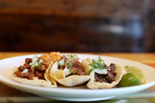 Tacolicious Taqueria by null