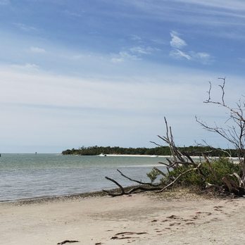 Dog Beach - Beaches Near Me - Fort Myers Beach, Florida