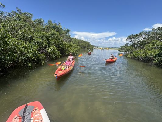 Happy Paddler Kayak Tours & EcoVentures by null
