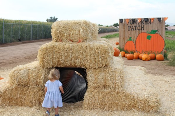 Tolmachoff Farms by null