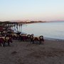Photo of La Pineta