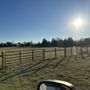 TNT Fencing & Construction