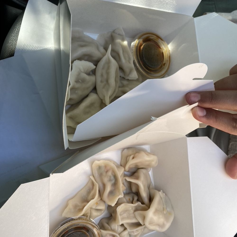 Hello Dumpling - Pork Dumplings!! - Noodles Near Me - Dallas, Texas Hello Dumpling - Pork Dumplings!! - Noodles Near Me - Dallas, Texas