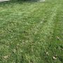 Photo of Green Lawn Utah