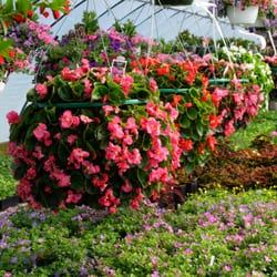 Levari Farm Market