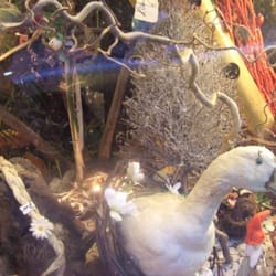 Blumenboutique Helga Heider