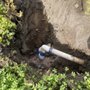 Photo of Antonio Ochoa Landscaping