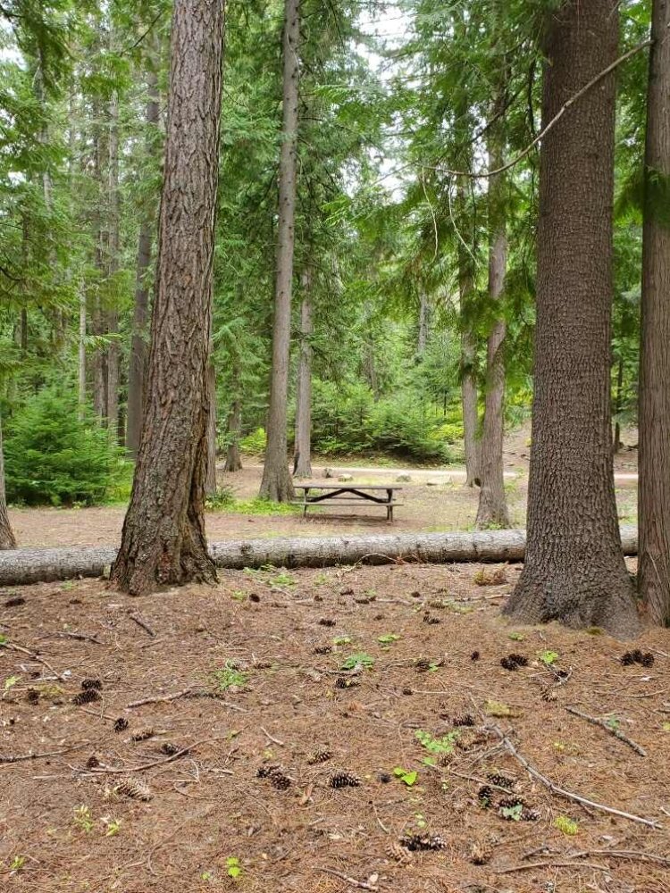 Pend Oreille County Park Logo
