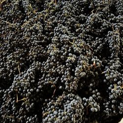 Stephen Hemmert Winery & Tasting Room - Beautiful Cabernet
