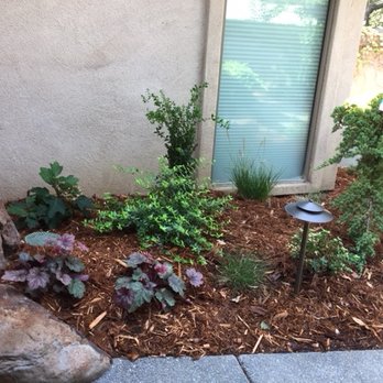 Gove Landscape Construction - New plantings with drip irrigation and outdoor lighting - Landscaping Near Me - El Dorado Hills, California
