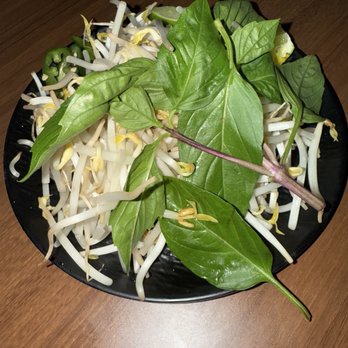 TD Seafood & Phở House - Pho garnish - Vietnamese Near Me - Harvey, Louisiana TD Seafood & Phở House - Pho garnish - Vietnamese Near Me - Harvey, Louisiana