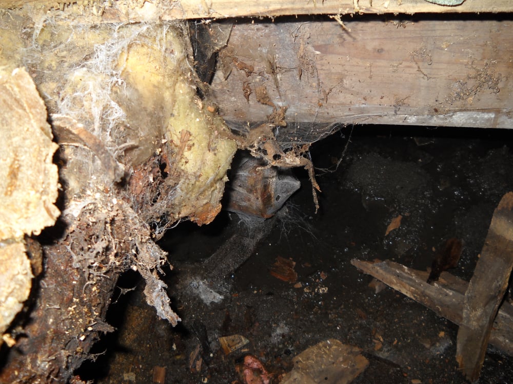 Slide of Morning Noon & Night Plumbing & Sewer Services