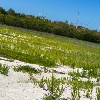 Silver Key Beach - silver Key beach - Beaches Near Me Silver Key Beach - silver Key beach - Beaches Near Me