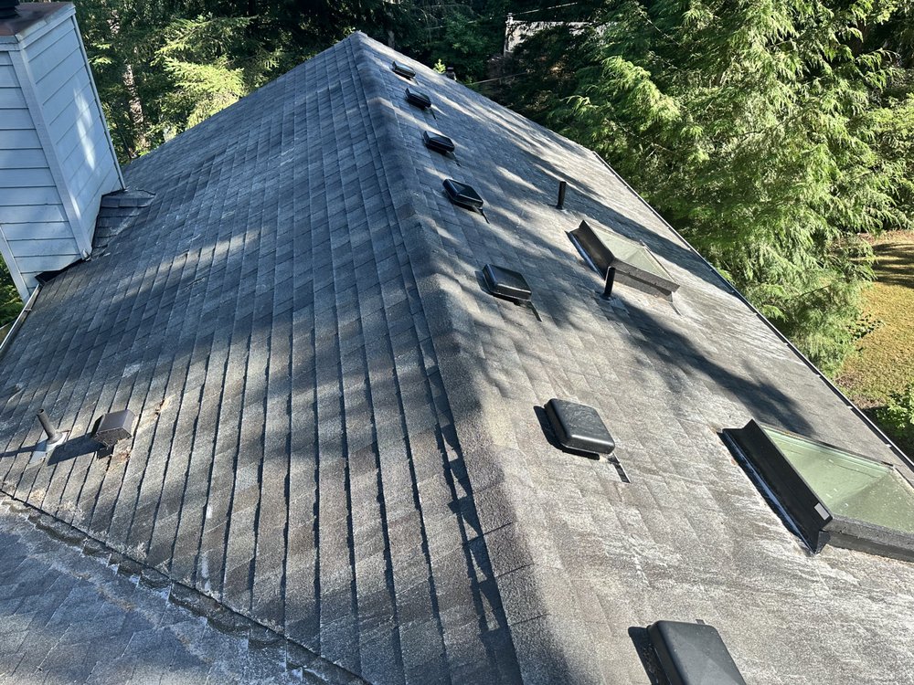 Slide of Apex Pro Kleening