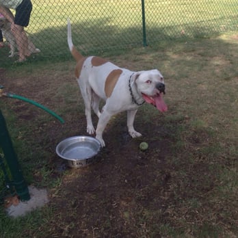 Berry Street Park - Water sprout - Dog Parks Near Me - Lemon Grove, California