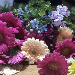 Seri's Blumen - Beautiful fresh blooms!