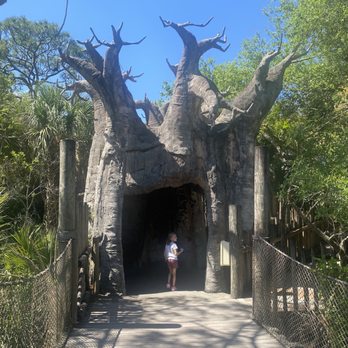 Brevard Zoo - Zoos Near Me - Melbourne, Florida Brevard Zoo - Zoos Near Me - Melbourne, Florida