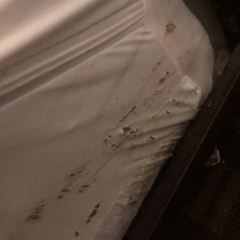 Pacifica Hotel - Bed bugs like crazy - Hotels Near Me - San Diego, California Pacifica Hotel - Bed bugs like crazy - Hotels Near Me - San Diego, California