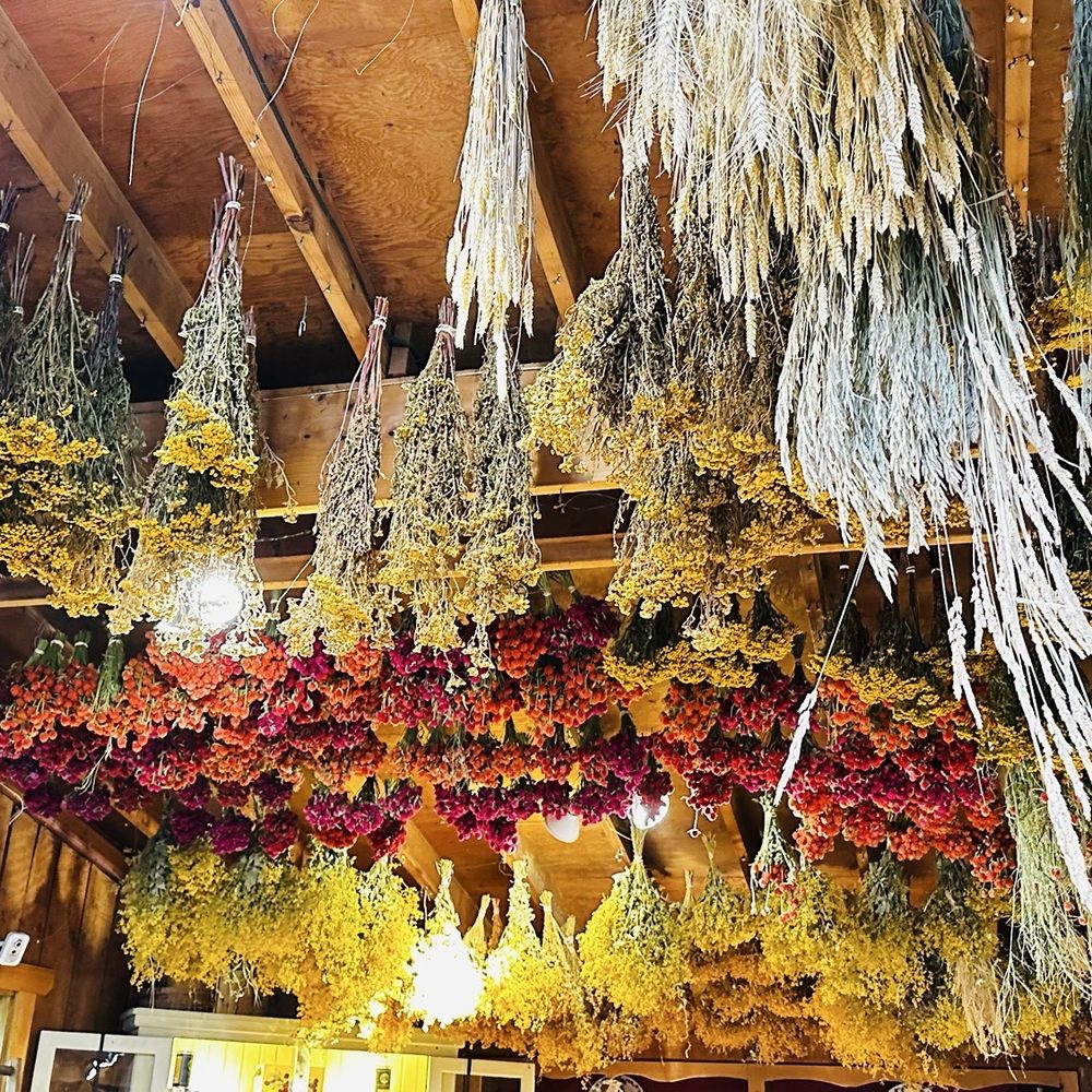 Hurd Orchards - Herb's drying - Fruits & Veggies Near Me - Holley, New York Hurd Orchards - Herb's drying - Fruits & Veggies Near Me - Holley, New York