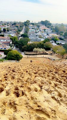 Sand Dune Park by null