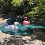 Photo of Kale's Pool Service