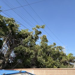 Spectrum - Utility Tax paid to Spectrum cable is supposed to pay for utility pole maintenance, right?!