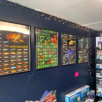 Alaska Coral & Fish - Check Out Area! - Aquariums Near Me - Anchorage, Alaska Alaska Coral & Fish - Check Out Area! - Aquariums Near Me - Anchorage, Alaska
