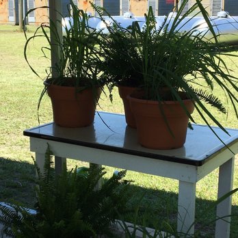Heritage Fresh Market - Lemongrass and ferns - Farmers Market Near Me - Supply, North Carolina
