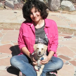 The Wolf Whisperer Dog Training & Boarding - Dog Training Tucson